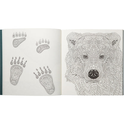 Nordic Wilderness A Colouring Book by Claire Scully