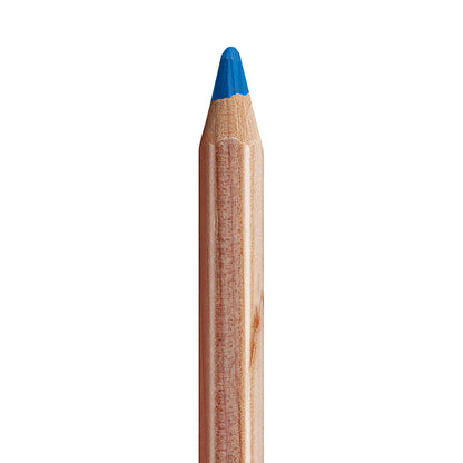 Caran d'Ache Pastel Coloured Pencil